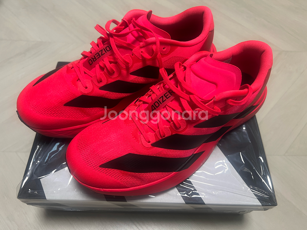 아디다스 아디제로 에보 SL 루시드레드 280 러닝화--1