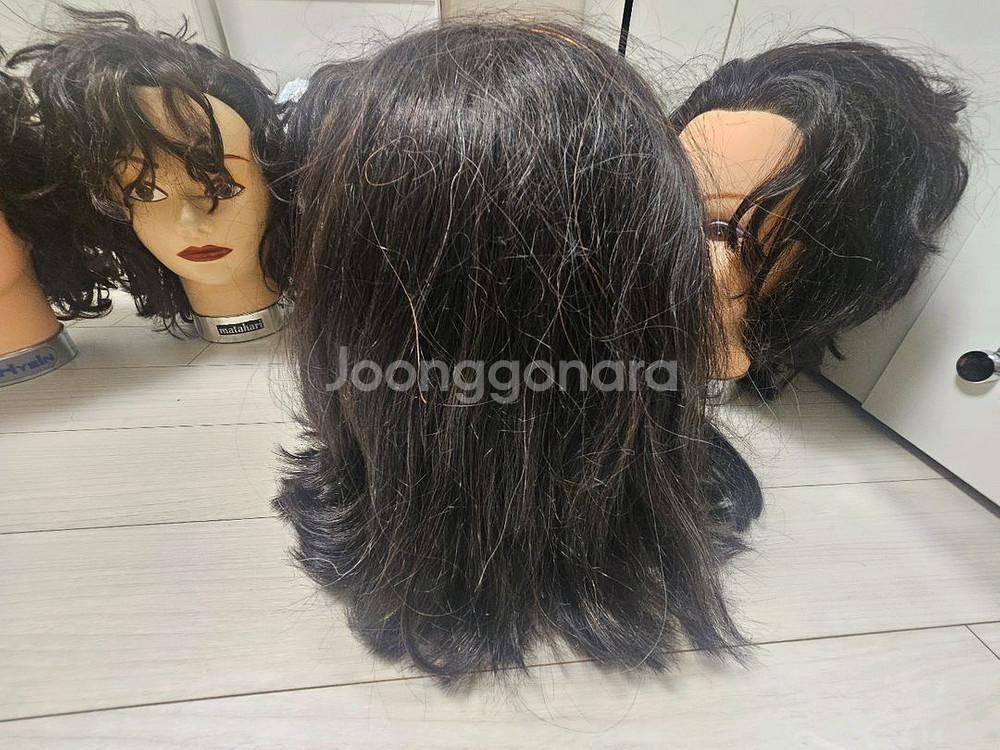 인모 100 통가발 마타하리 스파니엘--1