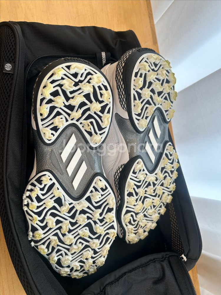 아디다스 코드케이오스 여성골프화235--2