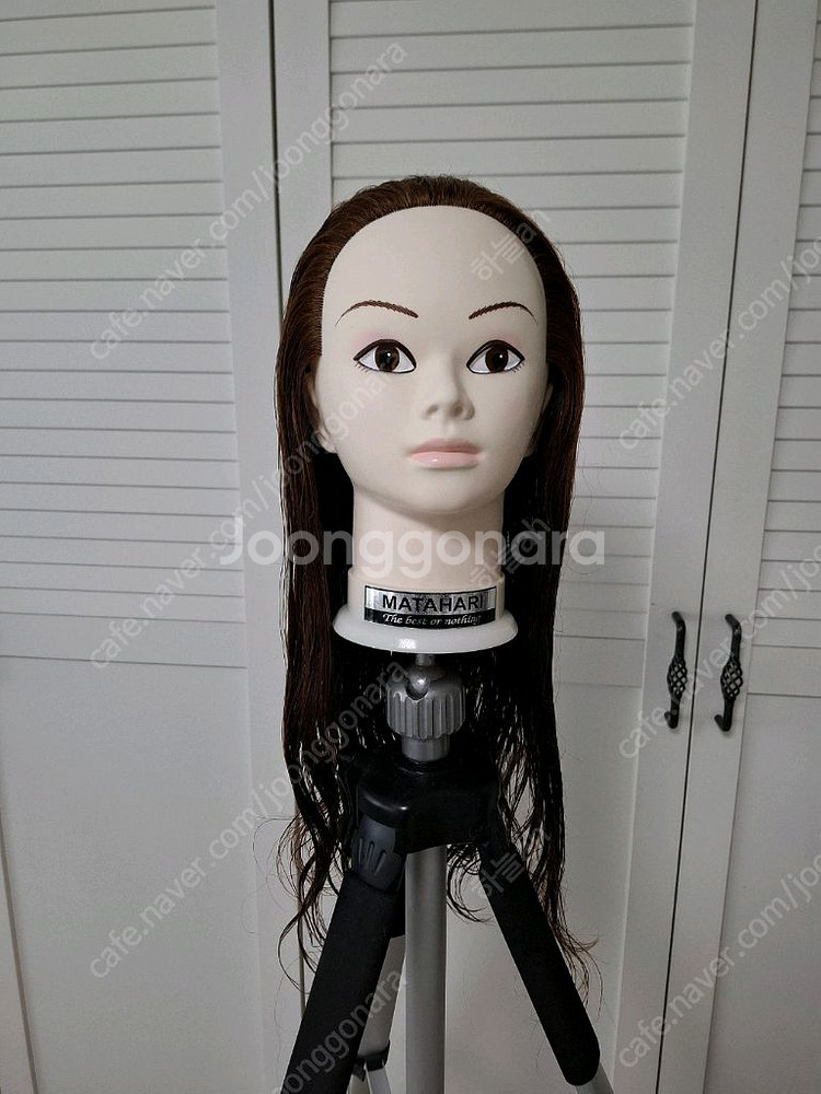 마타하리 업스타일 인모 100통가발--1