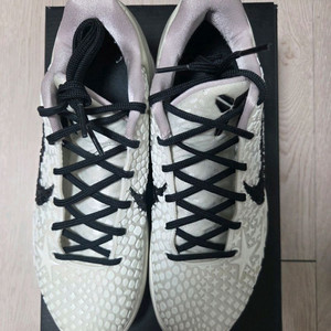 [255] 코비6 세일