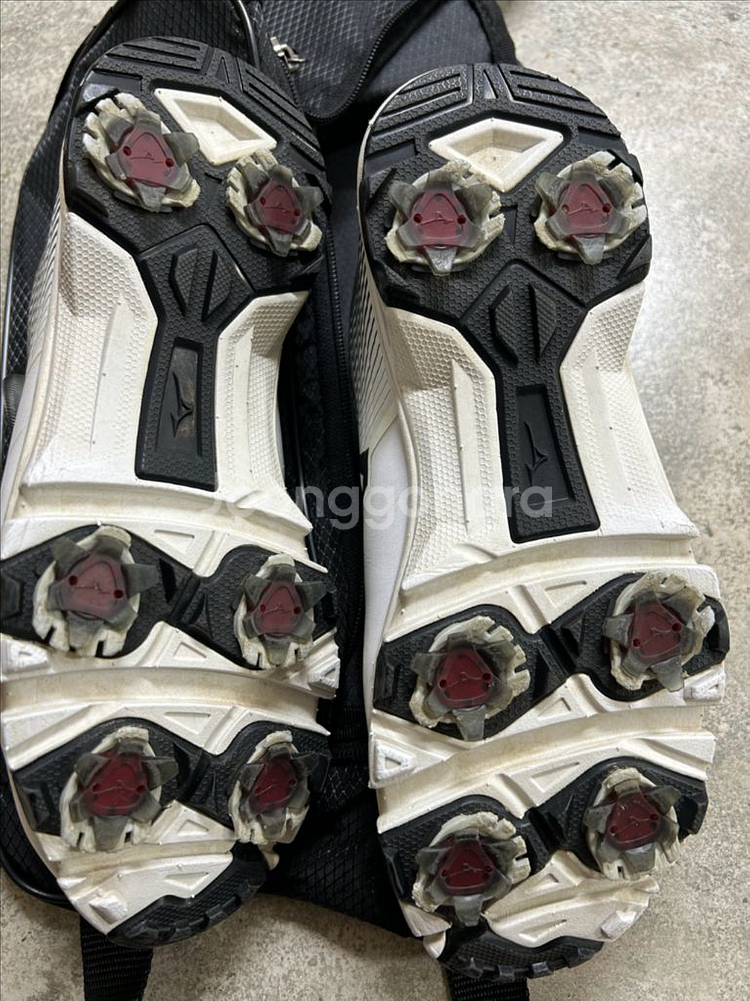 미즈노 여성 골프화 245--2