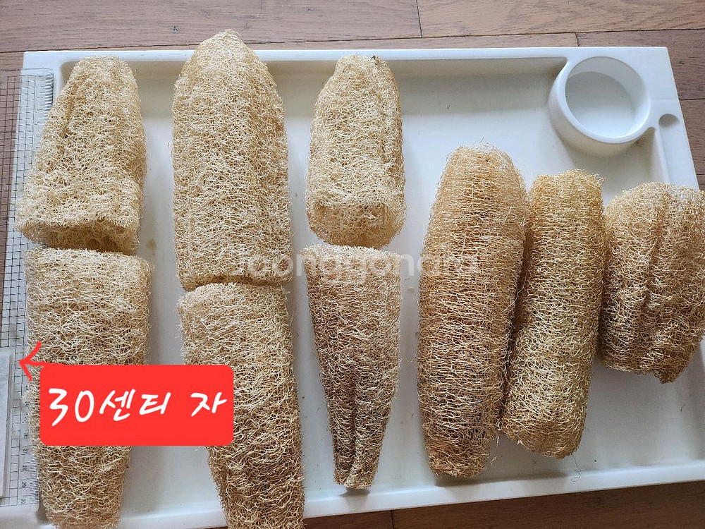 반값무배송)천연수세미 여러개--0