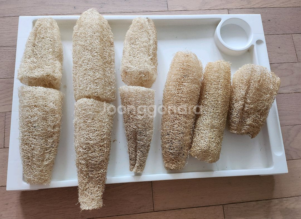 반값무배송)천연수세미 여러개--1