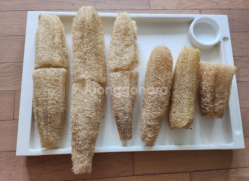 반값무배송)천연수세미 여러개--2