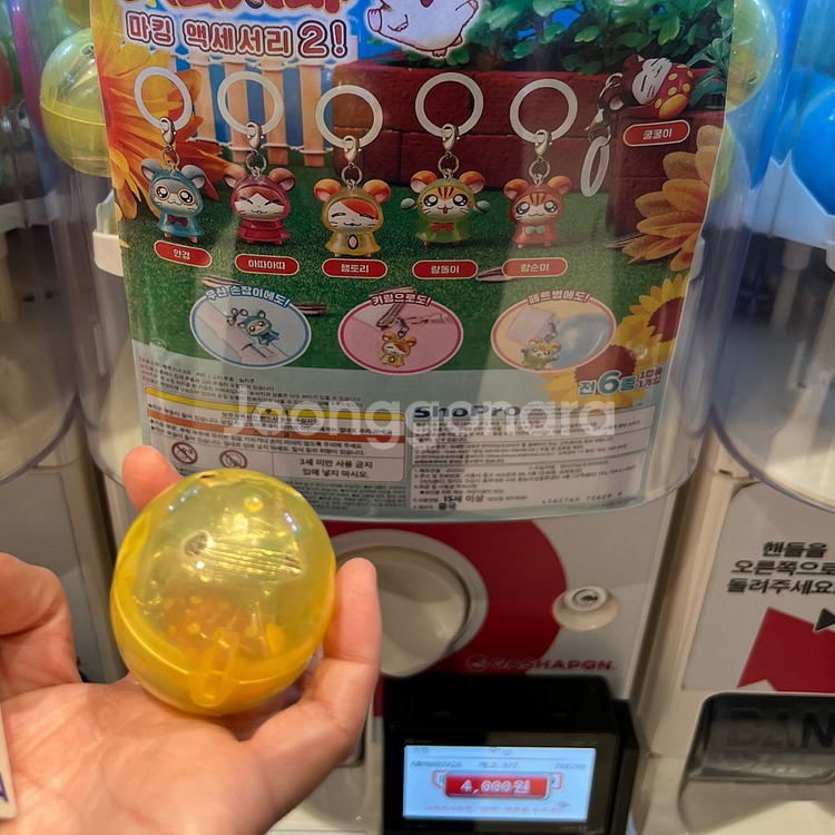 햄타로(방가방가 햄토리) 메지루시 2탄 가챠--1