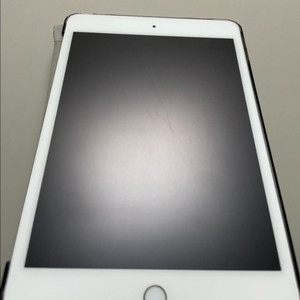 아이패드 미니5 64g 실버+애플펜슬 1세대