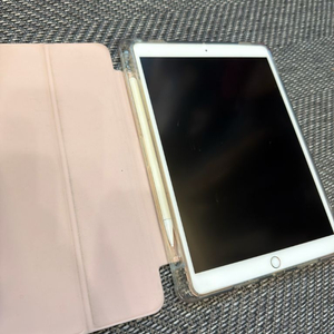 아이패드 에어3세대 256기가 골드 +펜슬+케이스