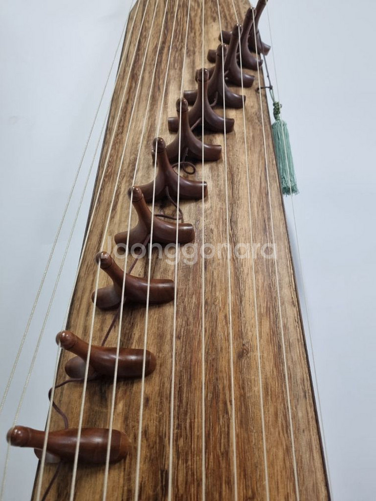 고흥곤 12현 산조가야금--4