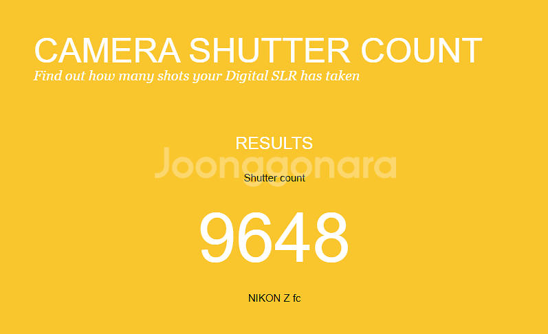 니콘 Zfc 바디--7