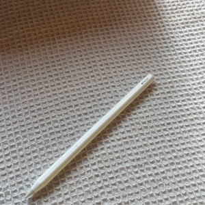 애플펜슬 2세대