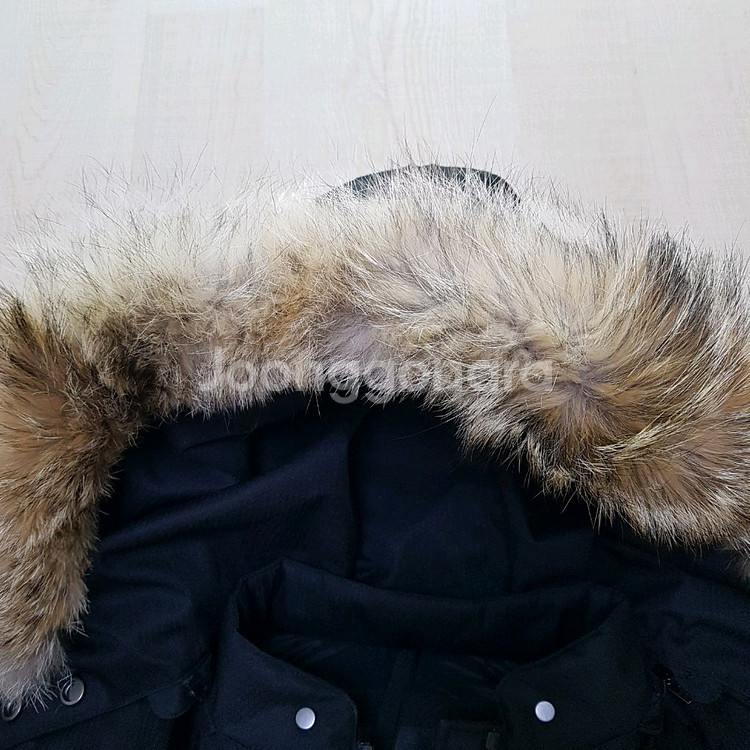 [66]정품 노비스 할로우 여성 숏패딩--9