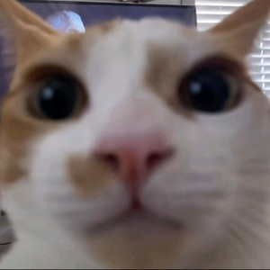 삽니다 아이폰 16프로 블랙 256기가 미개봉 자급제 삽니다