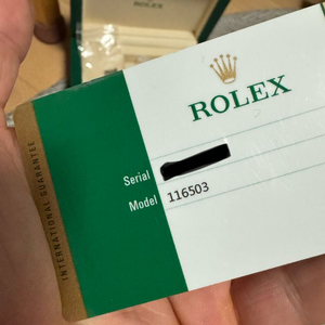 롤렉스 데이토나 콤비 116503