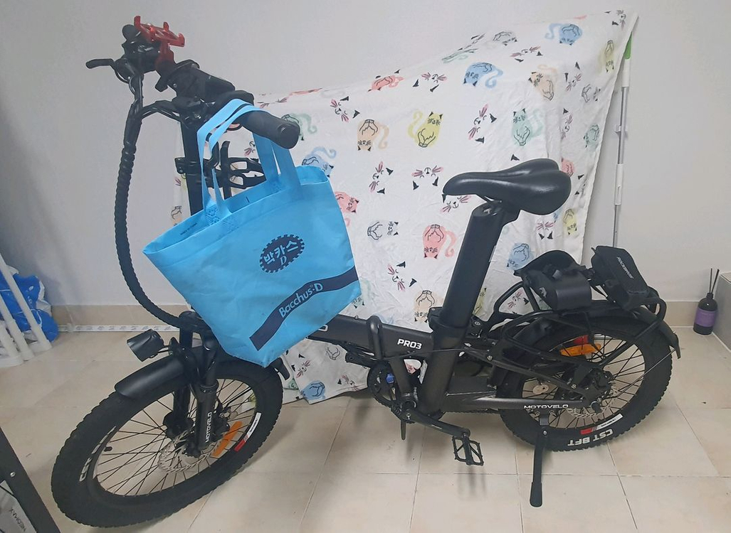 전기자전거 이미지