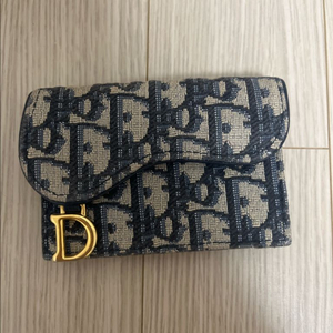 디올 오블리크 카드지갑