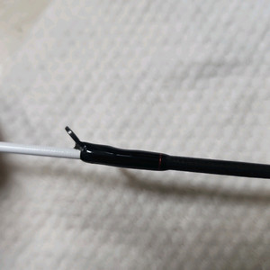 다이와타코이카165h 갑오징어대