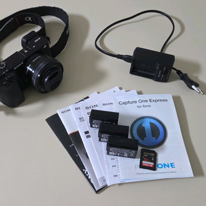 소니 A6000 미러리스 카메라