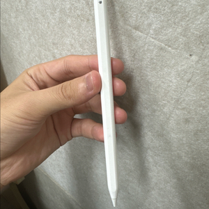 애플펜슬 2세대