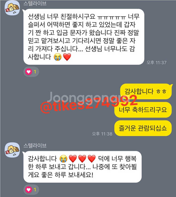 (총 20건 성공중)스텔라이브 페스티벌 콘서트 취켓팅 문의받습니다--0