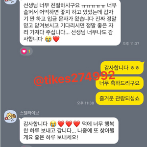 (총 20건 성공중)스텔라이브 페스티벌 콘서트 취켓팅 문의받습니다