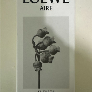 아이레 수틸레사 오드뚜왈렛 100ml