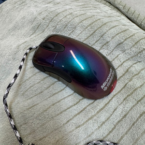 유양 구인옵 카멜레온 유광