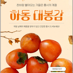 홍시 하동 대봉감 10kg