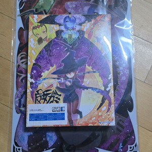 닌텐도 스위치 마녀가미 한정판