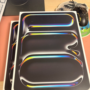 (미개봉)아이패드 프로 m5 8세대 13인치 256기가