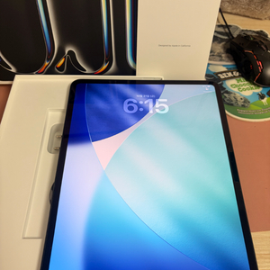 아이패드 프로 m4 13인치 7세대 256기가 셀룰러