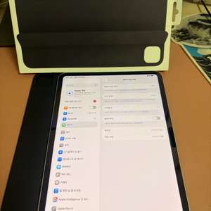 9월구매 아이패드 프로 m4 11인치 7세대 256기가