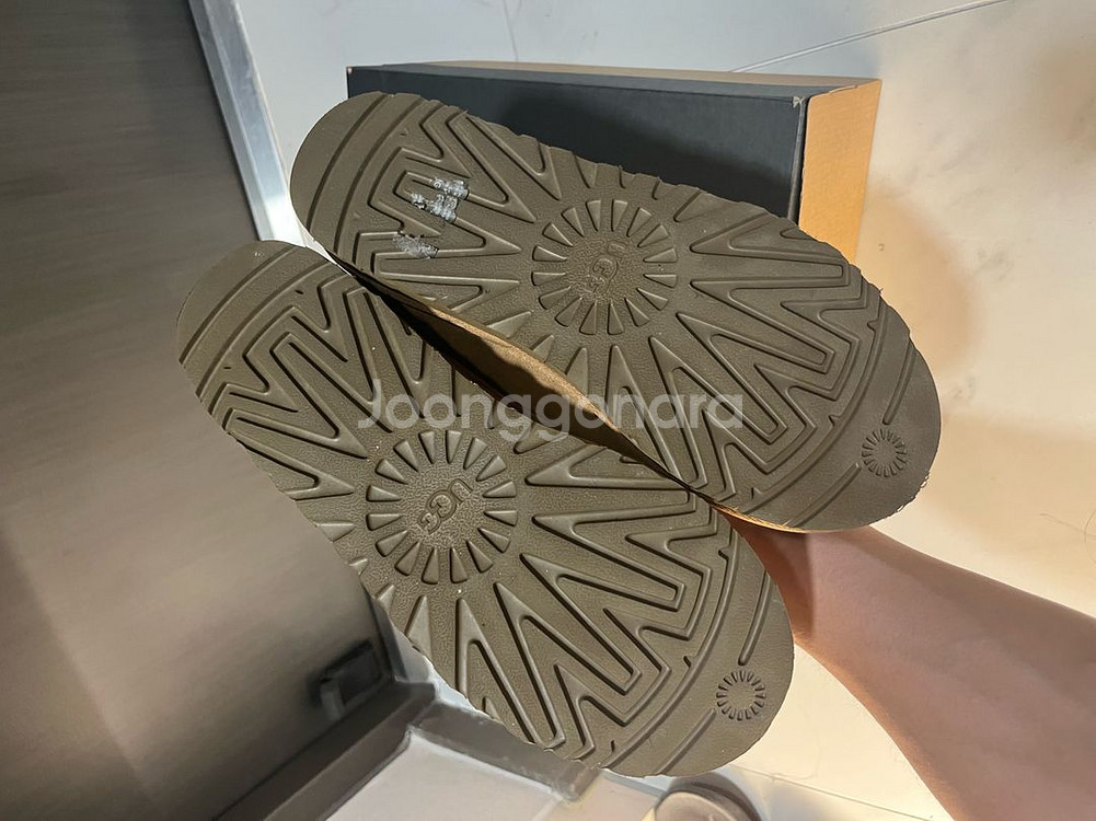 미국 어그 타스만 270--1