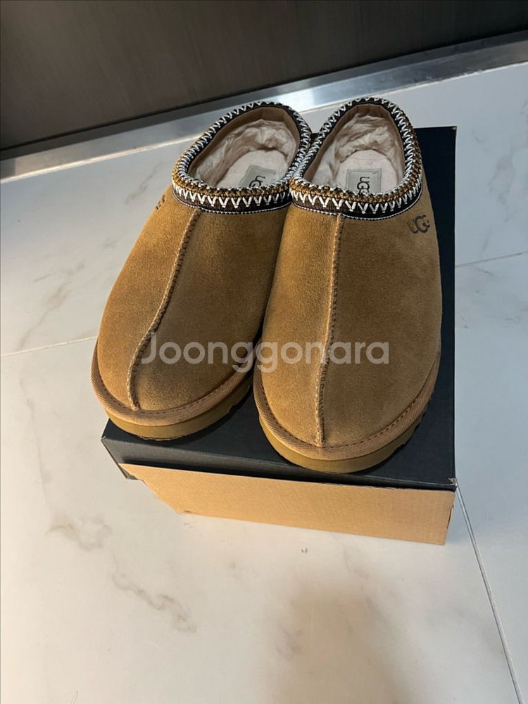 미국 어그 타스만 270--3