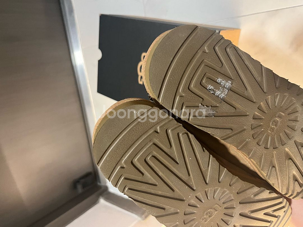 미국 어그 타스만 270--2