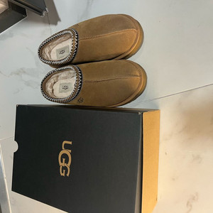 미국 어그 타스만 270