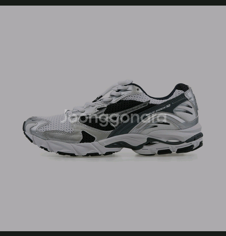 미즈노 웨이브 라이더 10 270mm--0