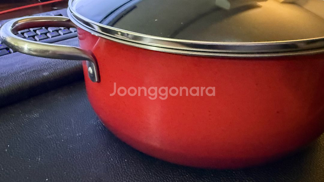 실리트 실라간 냄비 24 red--1