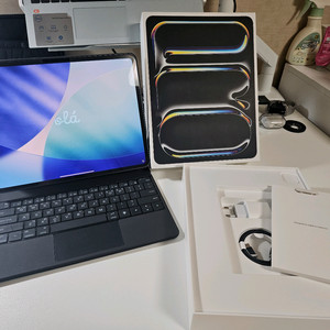 아이패드프로 7세대 M4 13인치 셀룰러 256GB 스그 모델 처분해요