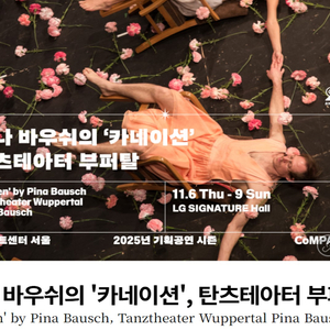 피나 바우쉬의 '카네이션' 11월 8일(토) 실질 1열 1매