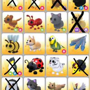 입양하세요 펫 팔아요