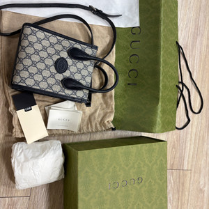 구찌 GG 캔버스 미니백
