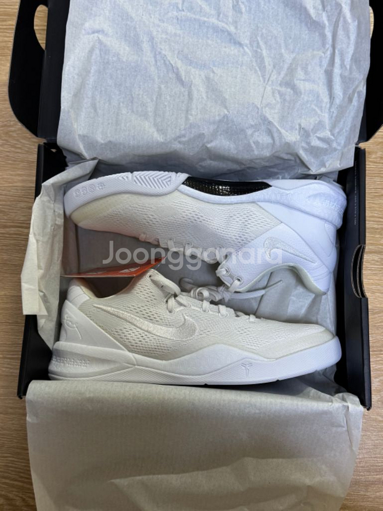 [235]코비8 프로트로 헤일로--0