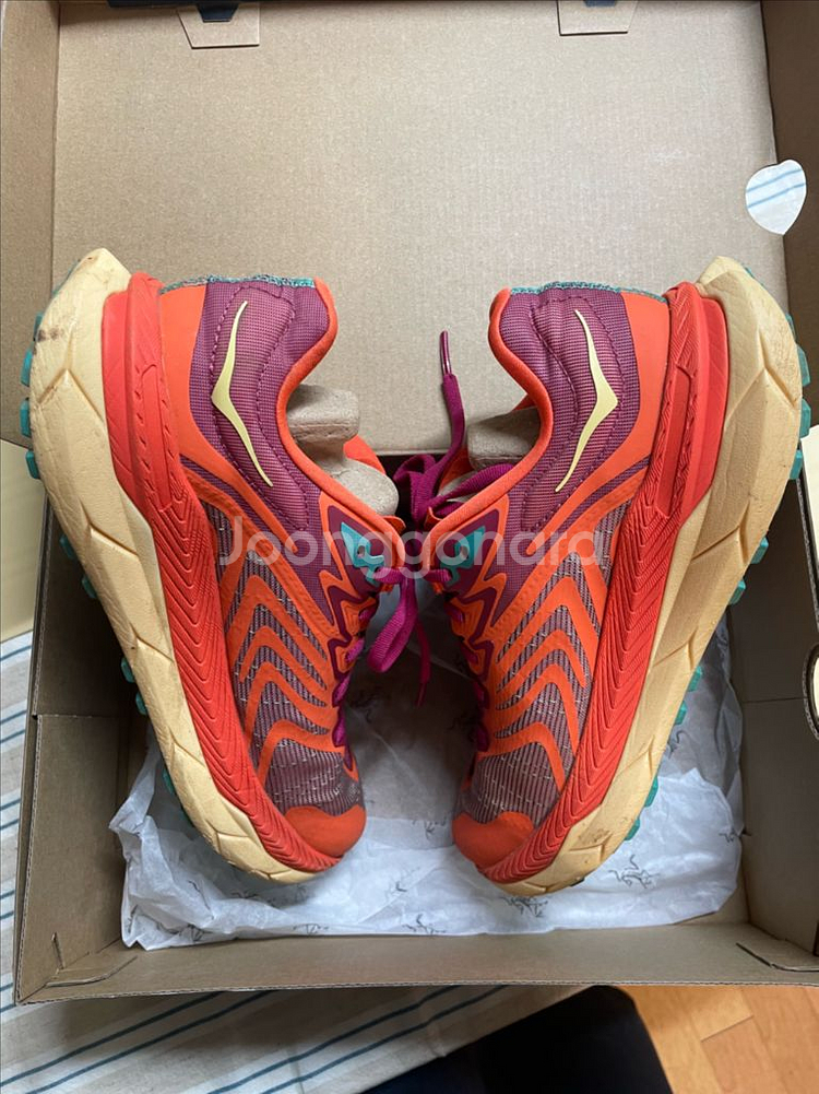 호카 텍톤 X 2 (250사이즈)2번착용--2