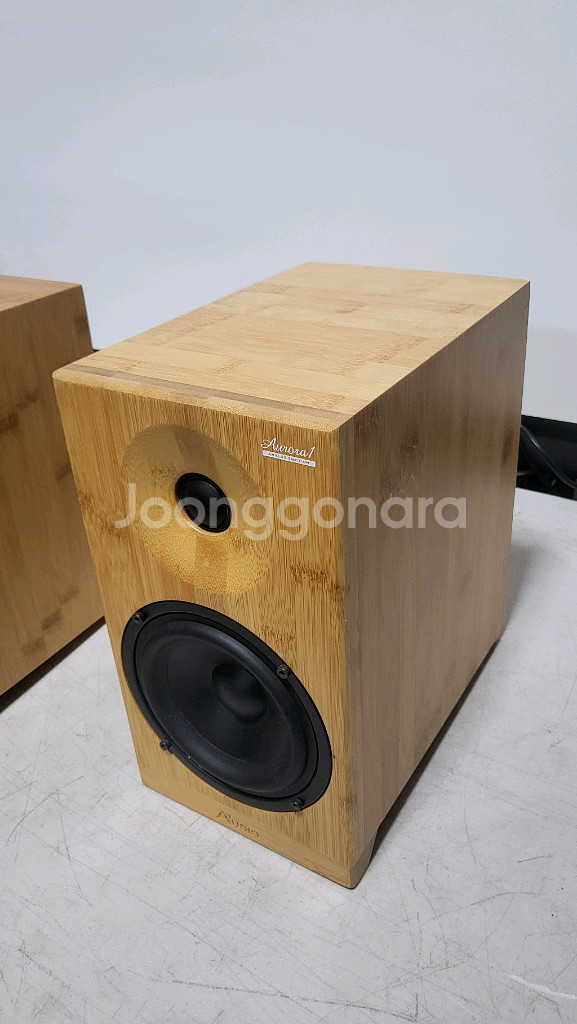 오로라 엑티브스피커--2