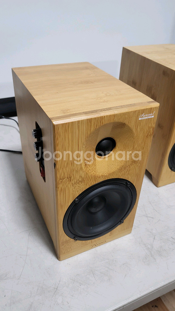 오로라 엑티브스피커--1