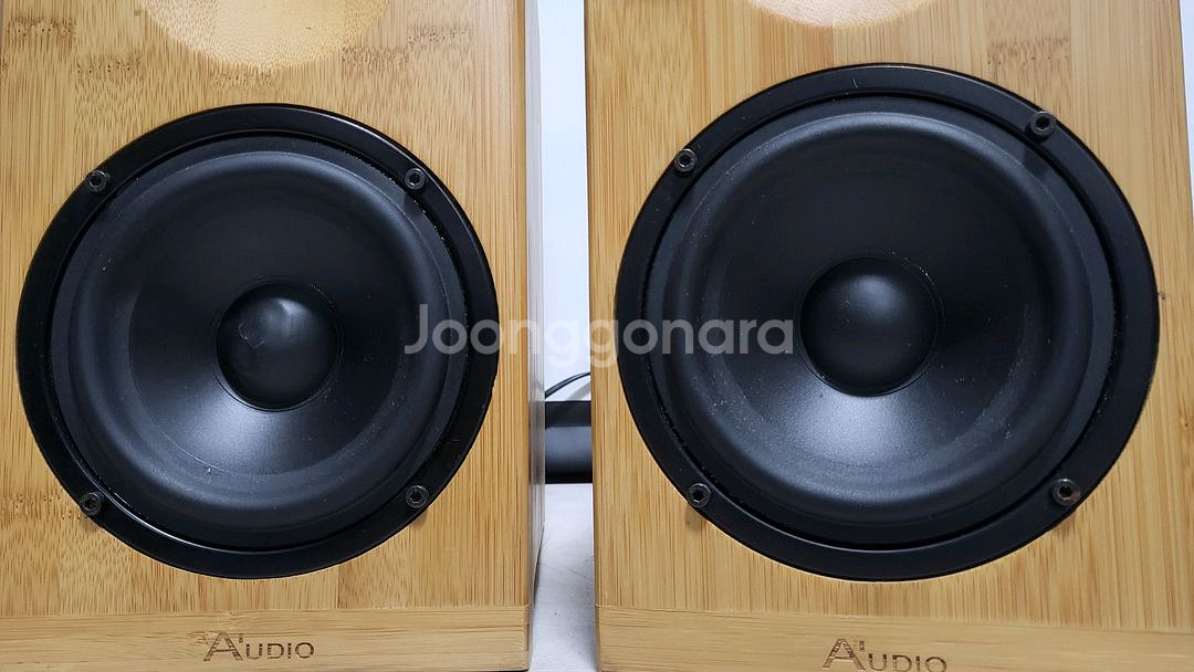 오로라 엑티브스피커--5