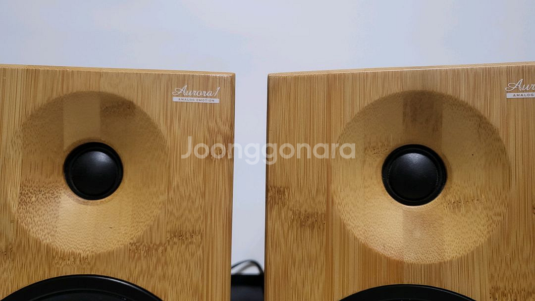 오로라 엑티브스피커--6