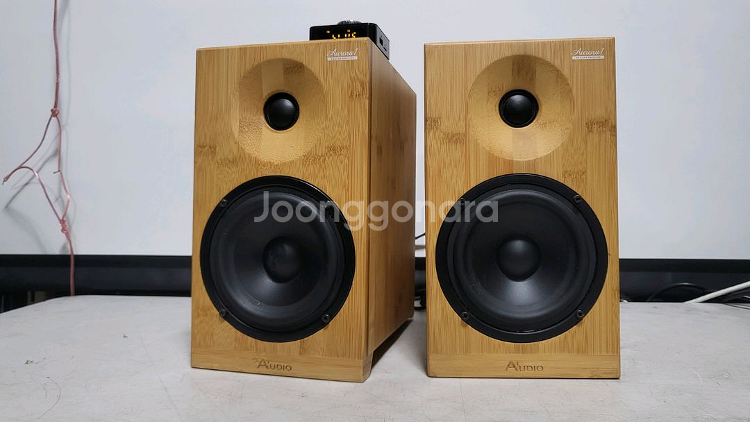 오로라 엑티브스피커--9