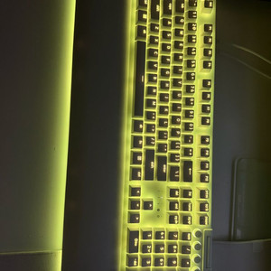 레이저 블랙위도우 v4 pro 화이트에디션